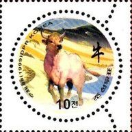 Ox (Bos primigenius taurus)