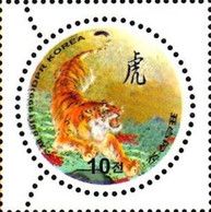 Tiger (Panthera tigris)