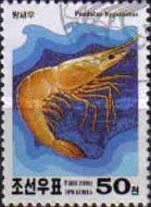 Humpback Shrimp (Pandalus hypsinotus)