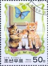 Kittens (Felis silvestris catus) playing