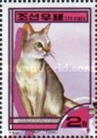 Singapura Tabby (Felis silvestris catus)