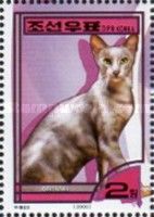 Oriental Shorthair (Felis silvestris catus)