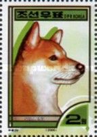 Shiba Inu (Canis lupus familiaris)