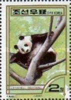 Giant Panda (Ailuropoda melanoleuca)