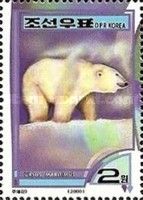 Polar Bear (Ursus maritimus)