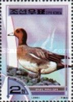 Eurasian Wigeon (Anas penelope)