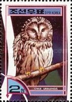 Ural Owl (Strix uralensis)