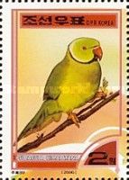 Slaty-headed Parakeet (Psittacula himalayana)