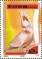 Major Mitchell's Cockatoo (Cacatua leadbeateri)