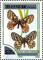 Italian Festoon (Zerynthia cassandra)
