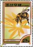 European Honey Bee (Apis mellifera)