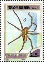 Green Huntsman Spider (Micrommata virescens)