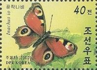 European peacock (Inachis io)
