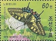 Swallowtail (Papilio machaon)