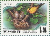 Black-naped Oriole (Oriolus chinensis)