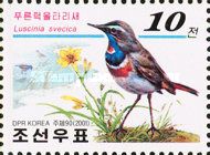 Bluethroat (Luscinia svecica)