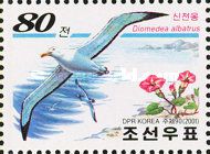 Short-tailed Albatross (Diomedea albatrus)