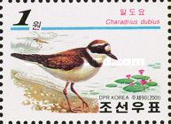 Little Ringed Plover (Charadrius dubius)