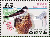 Common House Martin (Delichon urbica) 