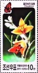 Eria pannea