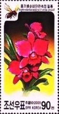 Sophrolaeliocattleya Estella Jewel