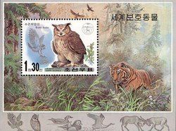 Eurasian Eagle-Owl (Bubo bubo)