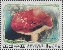 Russula integra