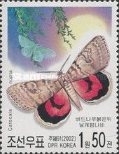 Red Underwing (Catocala nupta)