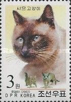 Siamese Cat (Felis silvestris catus)