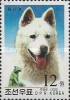 Phungsan Dog (Canis lupus familiaris)