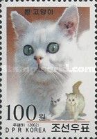 White Shorthair (Felis silvestris catus)