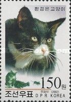 Black and White Shorthair (Felis silvestris catus)