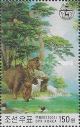 Wild Boar (Sus scrofa)