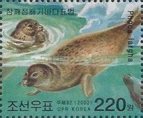 Spotted Seal (Phoca vitulina largha)