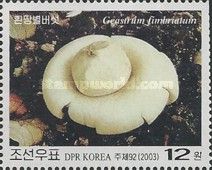 Geastrum fimbriatum