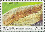 Comptonia neumannii