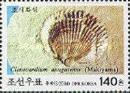 Clinocardium asagaiense