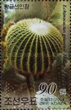 Echinocactus grusonii
