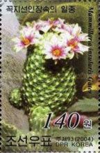 Mammillaria insularis