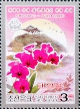 Dendrobium Clara Bundt 'Kimilsungia' and Mangyong Hill