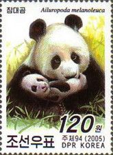 Giant Panda (Ailuropoda melanoleuca)