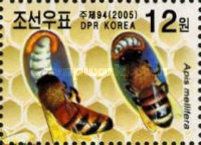 European Honey Bee (Apis mellifera)
