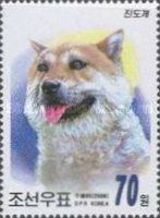 Shiba Inu (Canis lupus familiaris)
