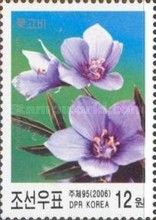 Polemonium racemosum