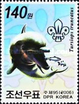 Common Bottlenose Dolphin (Tursiops truncatus)