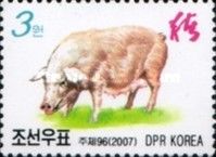 Domestic Pig (Sus scrofa domestica)