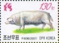 Domestic Pig (Sus scrofa domestica)