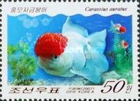 Goldfish (Carassius auratus auratus)