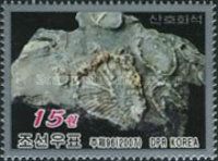 Fossils