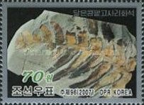 Fossils